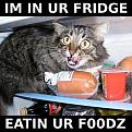 Click image for larger version

Name:	foodz.JPG
Views:	245
Size:	82.0 KB
ID:	396672