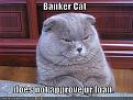 Click image for larger version

Name:	funny-pictures-banker-cat.jpg
Views:	190
Size:	37.7 KB
ID:	397054