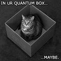 Click image for larger version

Name:	lolcat.jpg
Views:	174
Size:	69.1 KB
ID:	397071