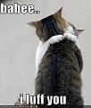 Click image for larger version

Name:	lolcats-funny-picture-baby-i-love-you.jpg
Views:	177
Size:	27.0 KB
ID:	397077