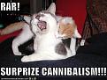 Click image for larger version

Name:	lolcats-funny-pictures-surprise-cannibalism.jpg
Views:	193
Size:	32.2 KB
ID:	397080